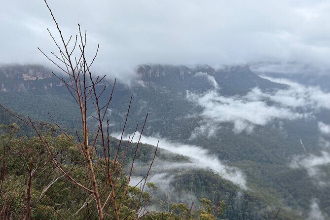 Grand Pacific Drive and Southern Highlands Tour - FAQs