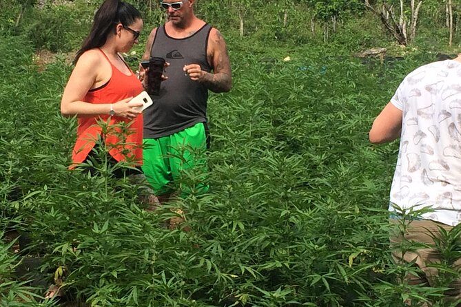 Grand Palladium from MBJ Airport - An In-Depth Look at the MBJ to Grand Palladium Transfer Experience