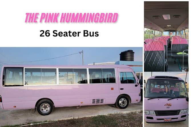 Grand Palladium MBJ Airport Private Transfer - The Sum Up