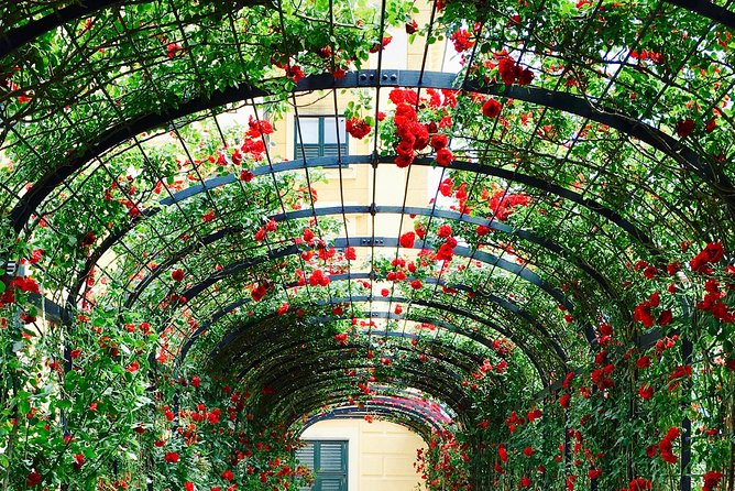 Grand Schoenbrunn Palace and Carriage Museum Tour - Cancellation Policy