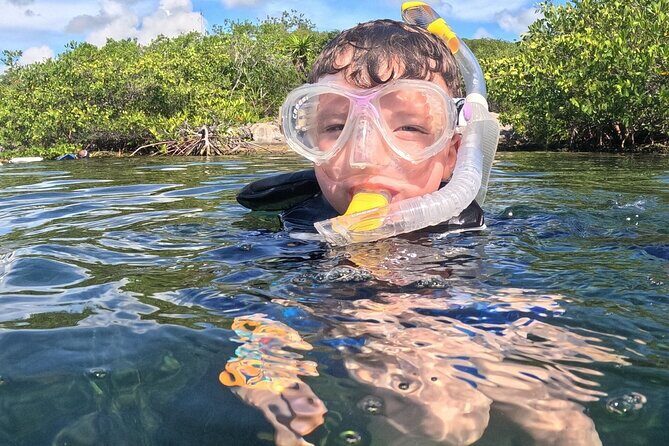 Grand Snorkeling Riviera Maya Private Tour - Exploring the Itinerary in Detail