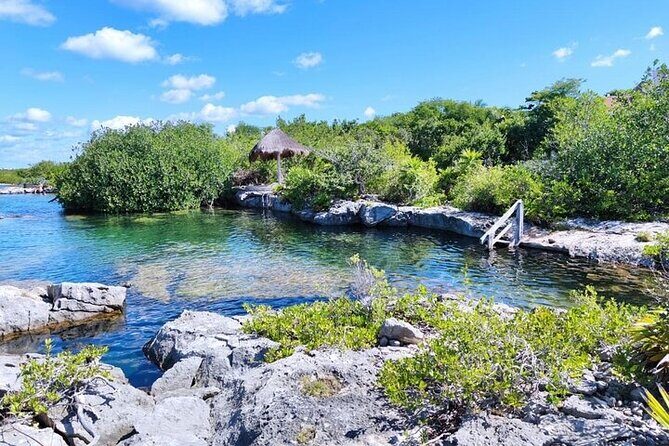 Grand Snorkeling Riviera Maya Private Tour - The Value Proposition