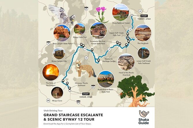 Grand Staircase and Scenic Byway 12 Self-Guided Audio Tour - A Deep Dive into the Experience
