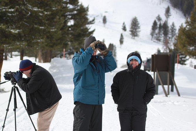 Grand Teton and National Elk Refuge Winter Wonderland Full Day Adventure - Recommendations and Satisfaction