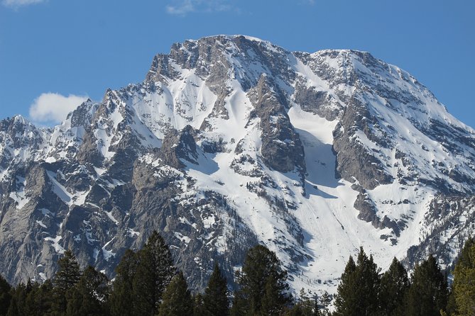 Grand Teton Half Day Tour - Reviews and Testimonials