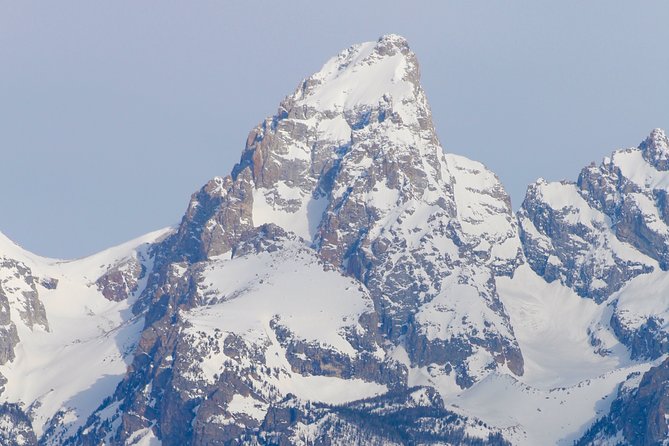 Grand Teton Half Day Tour - Tour Highlights