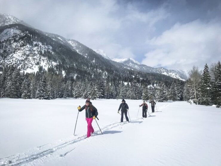 Grand Teton National Park: 4-Hour Beginner Cross-Country Ski - Experience