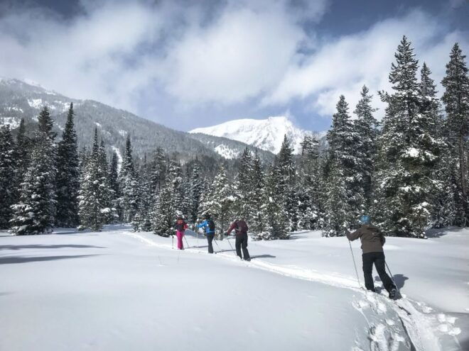 Grand Teton National Park: 4-Hour Beginner Cross-Country Ski - Highlights