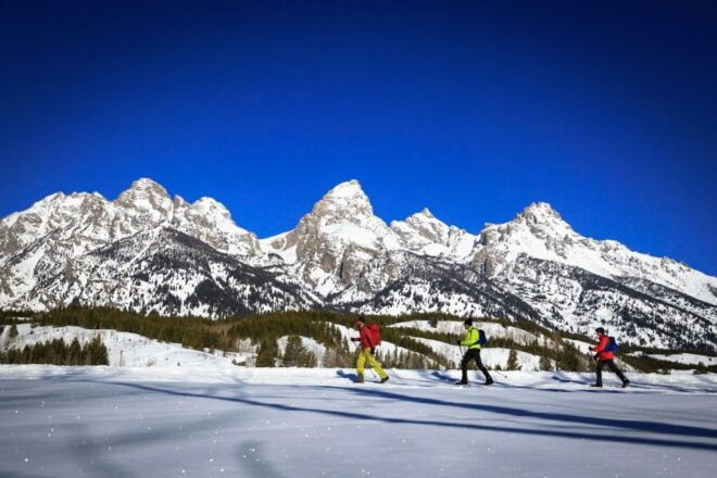 Grand Teton National Park: 4-Hour Beginner Cross-Country Ski - Full Description