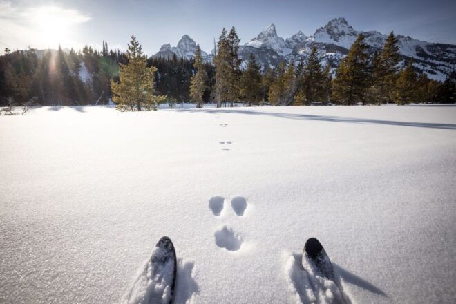 Grand Teton National Park: 4-Hour Beginner Cross-Country Ski - Customer Review