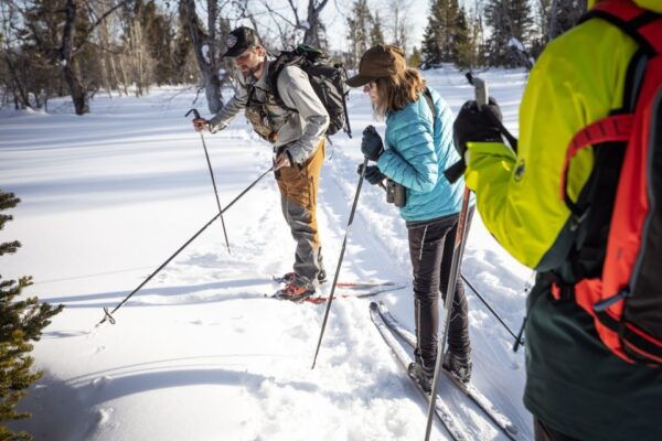 Grand Teton National Park: 4-Hour Beginner Cross-Country Ski - Common Questions