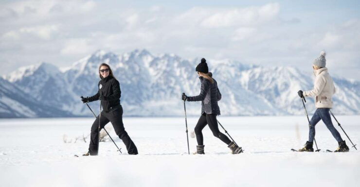 Grand Teton National Park: 8-Hour Willdlife & Snowshoe Tour - Overview of the 8-Hour Wildlife & Snowshoe Tour
