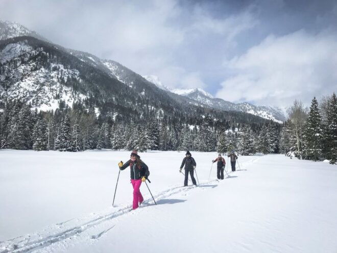 Grand Teton National Park: 8-Hour Willdlife & Snowshoe Tour - Discover the Diverse Wildlife of the Park and National Elk Refuge