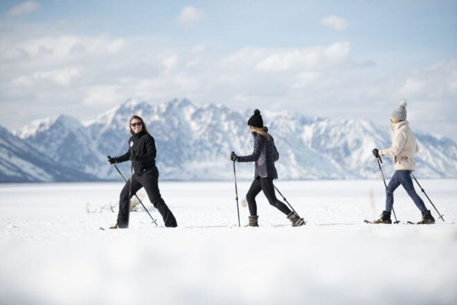 Grand Teton National Park: 8-Hour Willdlife & Snowshoe Tour - Learn From a Knowledgeable Guide About the Wildlife and Ecosystem