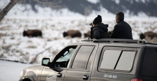 Grand Teton National Park: 8-Hour Willdlife & Snowshoe Tour - Full-Day Expedition With Snowshoeing and Wildlife Safari