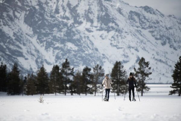 Grand Teton National Park: 8-Hour Willdlife & Snowshoe Tour - Common Questions