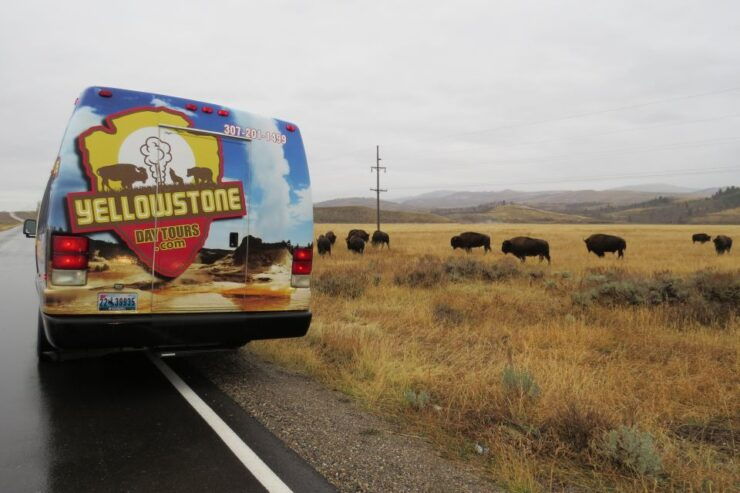 Grand Teton National Park: Full-Day Tour With Boat Ride - Highlights