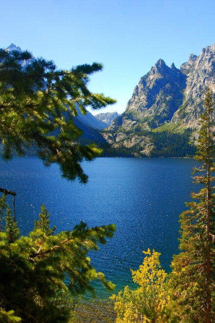 Grand Teton National Park: Self-Guided Majestic Drive - Tour Features