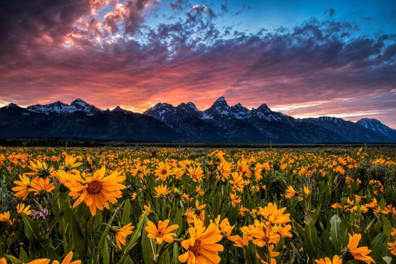Grand Teton: Private Guided Tour (Sunset) - Good To Know