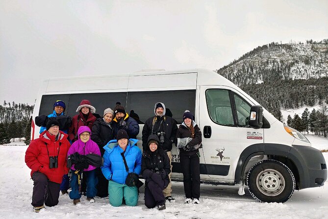 Grand Teton Wildlife Safari in a Enclosed or Open-Air Vehicle (Season Dependent) - Tour Overview