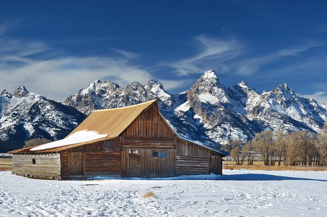 Grand Teton Wildlife Safari in a Enclosed or Open-Air Vehicle (Season Dependent) - Customer Reviews and Satisfaction