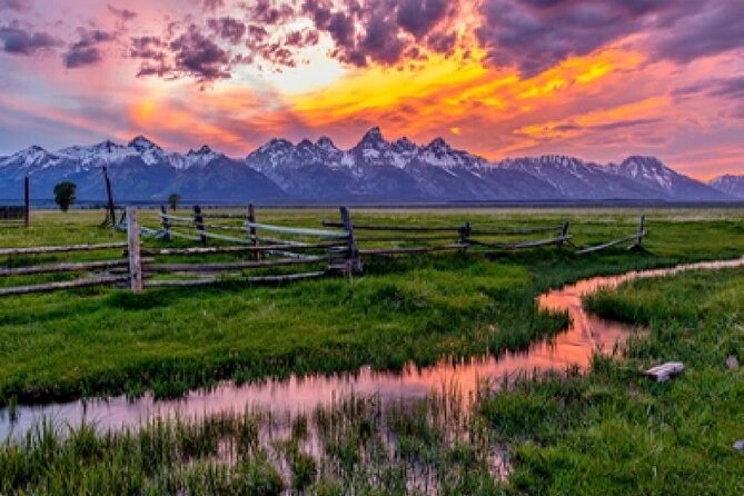 Grand Teton Wildlife Safari in a Enclosed or Open-Air Vehicle (Season Dependent) - Knowledgeable Guides