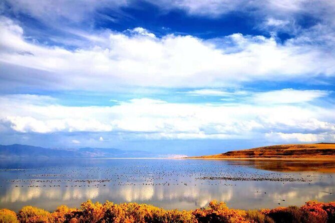 Grand Teton, Yellowstone, and Glacier National Parks 8-Day Tour - Good To Know