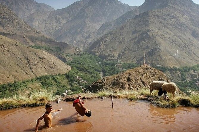 Grand Tour & Atlas Mountains Trip - Customer Reviews Summary