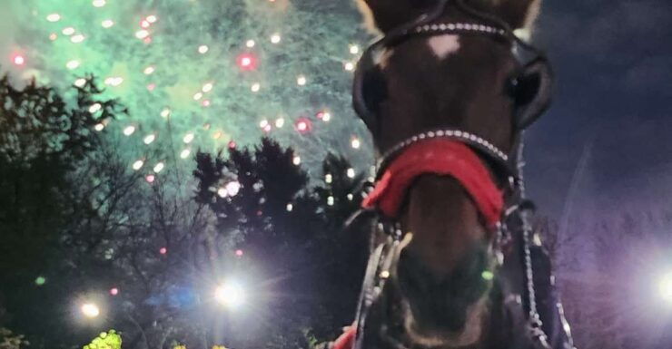 Grand Tour: Central Park, Rockefeller Center & Times Square - Fifth Avenue: Holiday Glamour and Window Displays