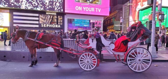 Grand Tour: Central Park, Rockefeller Center & Times Square - Entertainment Extravaganza: Iconic Venues and Vibrant Times Square