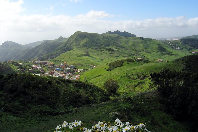 Grand Tour Tenerife - Full-Day Private VIP Tour - Reviews