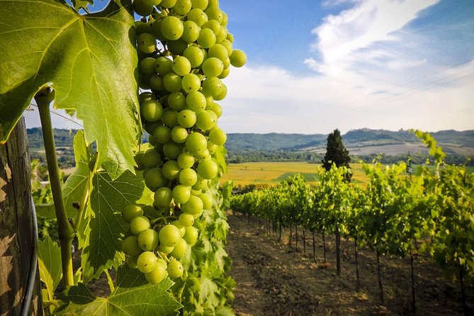 Grand Tour to Kakheti for Wine Lovers: Telavi-Kvareli-Sighnaghi - Gastronomic Delights in Sighnaghi