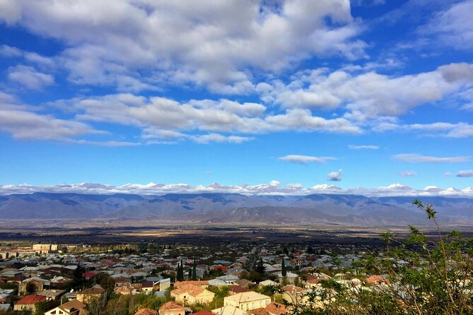 Grand Tour to Kakheti for Wine Lovers: Telavi-Kvareli-Sighnaghi - Expert Insights on Kakheti Wines