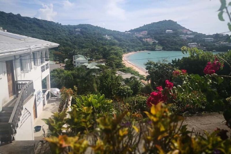 Grand Tours Grenada Call the Boss Taxi Luxurious Island Tour - An In-Depth Look at the Tour Experience  