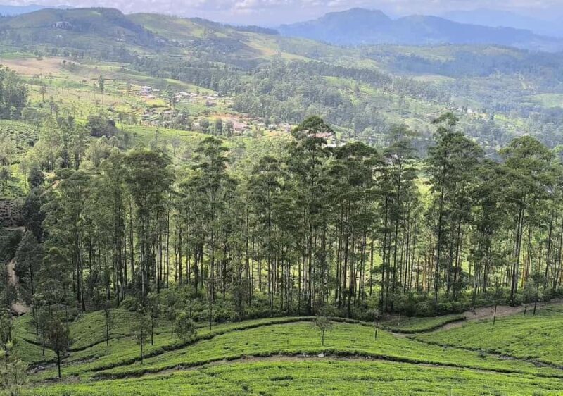 Grand Trek: 20-Day Guided Pekoe Trail with Hotels &Transfers - What It Means for You as a Traveler