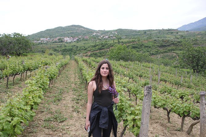 Grand Wine Tasting & Food Tour of Berat /By Vato - Tour Logistics