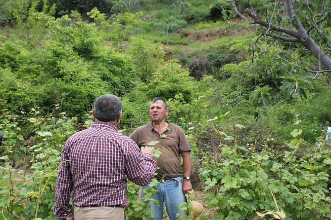 Grand Wine Tasting & Food Tour of Berat /By Vato - The Sum Up