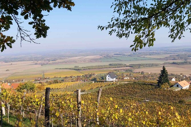 Grand Wine Tasting Tour of Eger and Tokaj - Culinary Delights