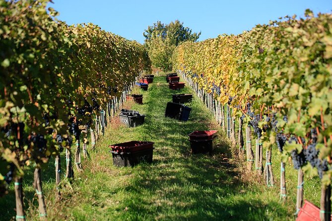 Grand Wine Tasting Tour of Eger and Tokaj - Pricing and Booking Details