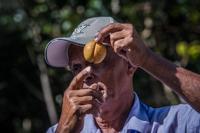 Grandanse Beach Time, Fort Frederick and Annandale Falls Tour - FAQ