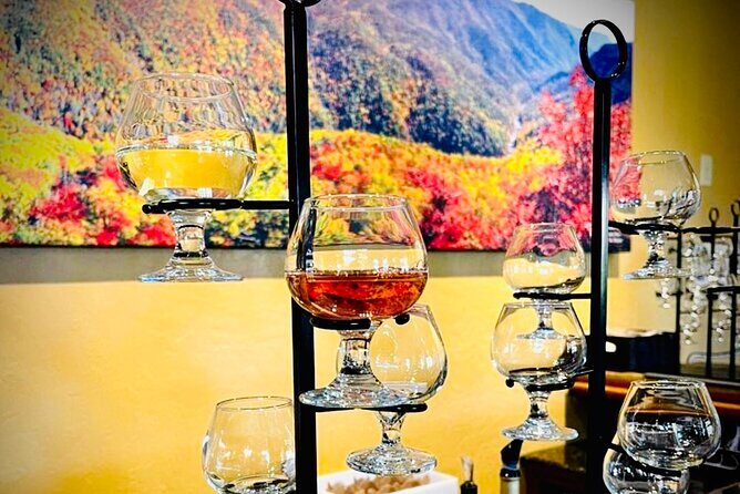 Grandfather Mountain Private Wine & Dine Tour from Asheville - Who Should Consider This Tour?