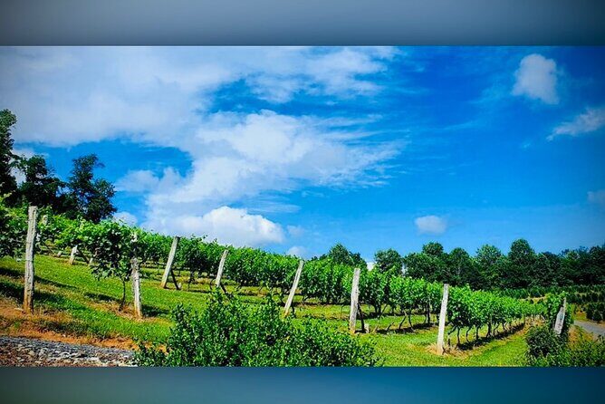 Grandfather Mountain Private Wine & Dine Tour from Asheville - Wrapping It Up