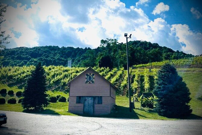 Grandfather Mountain Private Wine & Dine Tour from Asheville - What Makes This Tour Special?