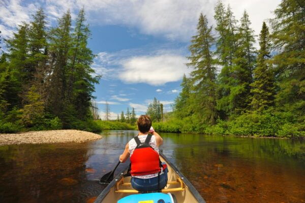 Grands-Jardins National Park Nautical Rental Lake Arthabaska - Discover Local Flora and Fauna