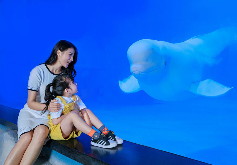 Grandview Aquarium Ticket - Expect a family attraction, with a few caveats