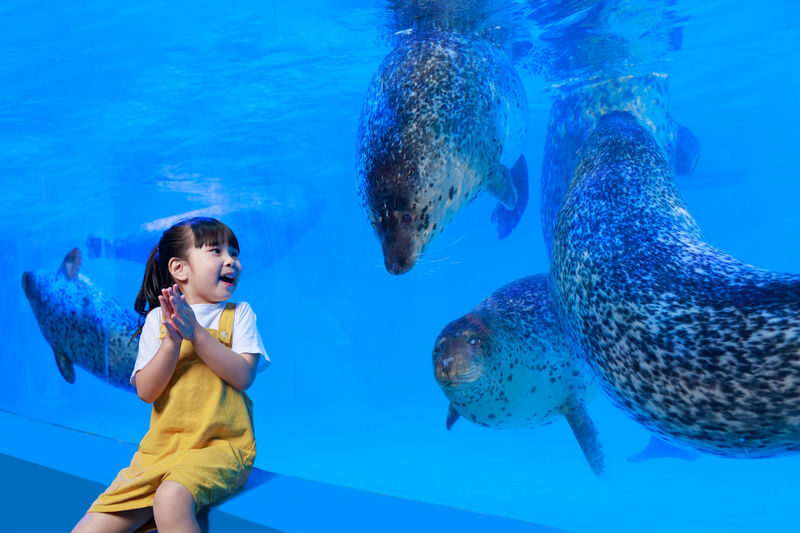 Grandview Aquarium Ticket - Is the ticket worth around $20.60?