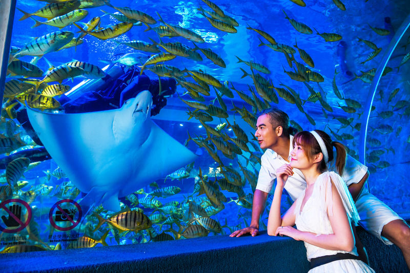 Grandview Aquarium Ticket - Ticket rules and practical details