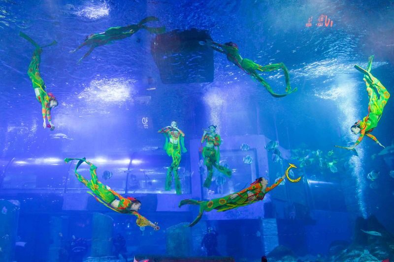 Grandview Aquarium Ticket - Should you book Grandview Aquarium?