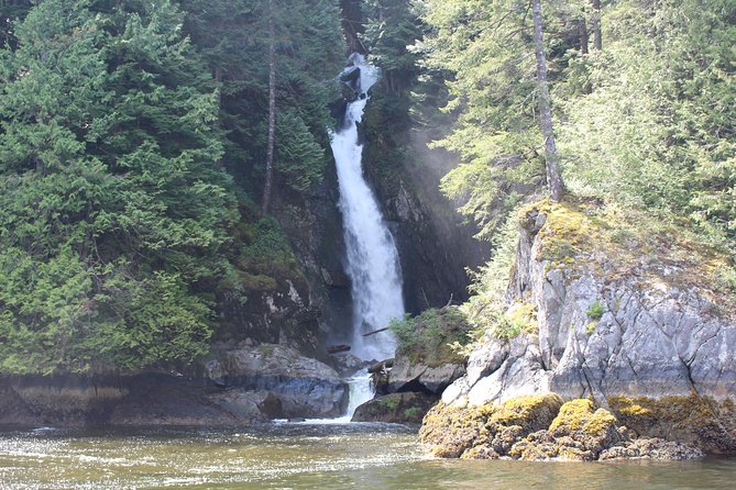 Granite Falls Zodiac Tour by Vancouver Water Adventures - Wildlife Spotting Opportunities