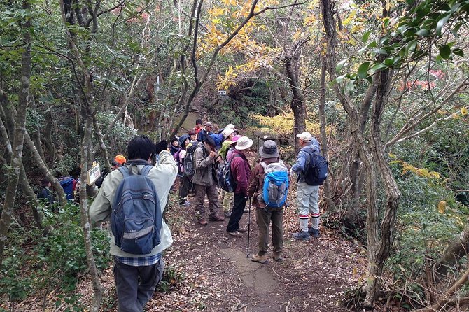 Granite Obelisk in Yakushima Full-Day Trekking Tour - Tour Inclusions